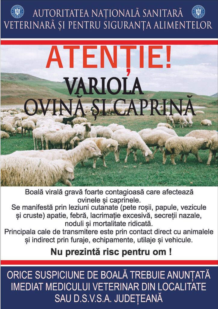 Poster Variola ovina si caprina_ANSVSA